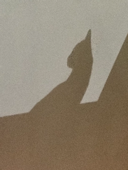 리뷰(후에 다시 정리)