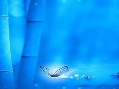 미처 전하지 못했던 말들을-