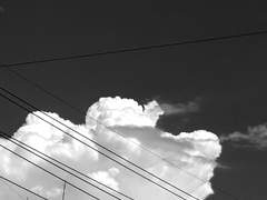 [현제유진] 3초면 첫--이 --된다 (3)