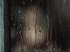 내가 사채업자가 된 이유 完