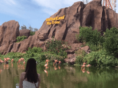 공황장애, 넌 참 파란만장哀 (1)