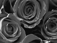 엉망인 현재에 바라는 미래를 그리자