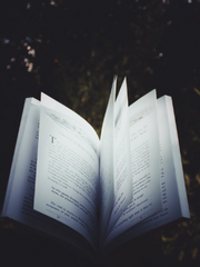 *미스터리 수사반*