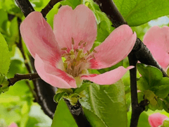 꿈을찍는 사진관 (上)