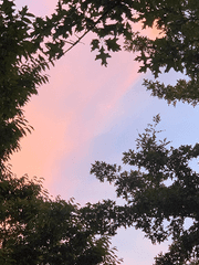 오늘 내일 생각