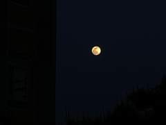 나는 죄책감과 함께 자랐다.