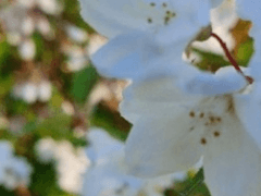 너는 영원히 9 完