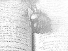 ···우리는 엔딩을 장식한다.