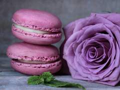 "파티가 모두 끝나버렸네요."