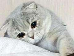 127막내 김여주 모먼트 EP.31