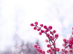 쥬빌레 루 타르타로스/4학년