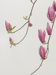 커뮤 러닝로그 백업