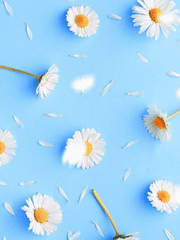 [단편/국민] 스쿨 러브 어페어!