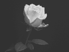 미련이 낳은 결과 06