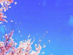 파이널판타지14 르베유르 쌍둥이와 함께 건강 챙기기