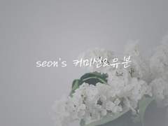 Seon’s 유분 글
