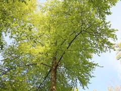 [홍부] 개구리의 일기