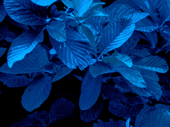 통합 안내 사항