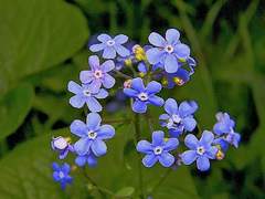 그때와 똑같은.