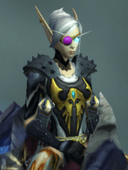 월드 오브 워크래프트