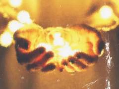 喪失의 終, 그리고 始