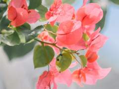 좋은 사람의 기준은 뭘까요?