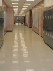 푸른 봄, 우리의 청춘, / KV