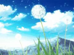 Celestial L. blancura