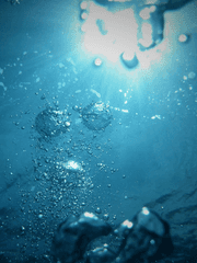 인어의 전설 하이큐 드림