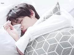 [HV] Jardin des Jaguars 2