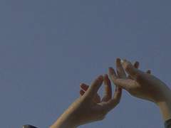 적적새는 울지 않는다 上