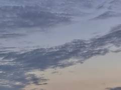 나로 인해 슬퍼하지 않기를 바라