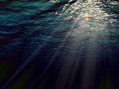 기억과 바다(上)