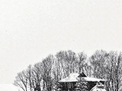 우주 먼지에 대하여 上