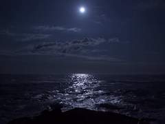 [에카르트 폰 / 해군 / 엘프 ]