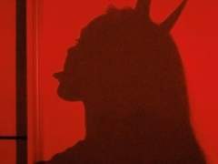 선생님 제가 요즘 이상해요