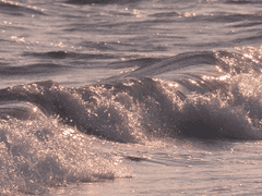 살해 당하는 사람