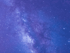 하늘에서 젤리가 떨어진다면?