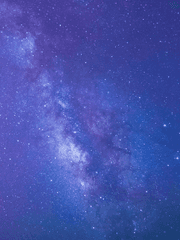 시네포의 요원들