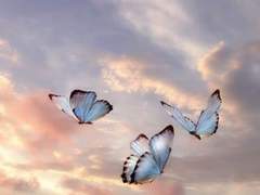 ✦ 장 세나 :: p r o f i l e - 1.