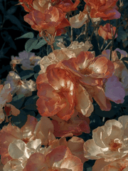 비밀을 지켜 줄 수 있니?