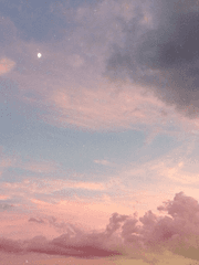 한낱 청춘은 나를 우습게 했다.