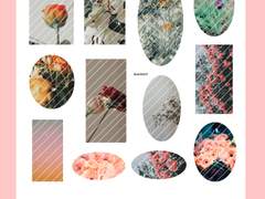 [굿노트 스티커] Flower pack.