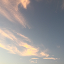 검은 글씨 / 검은 그림