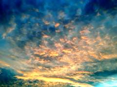 헤이즐 월러의 사랑법