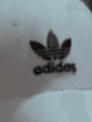 자라나라 머리머리