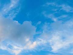 외롭지 않는 법