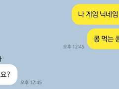 하이큐 드림 카피페2