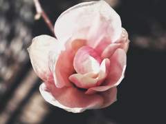 [설새봄]나의 마지막 세상 中