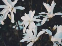 [설새봄]나의 마지막 세상 下